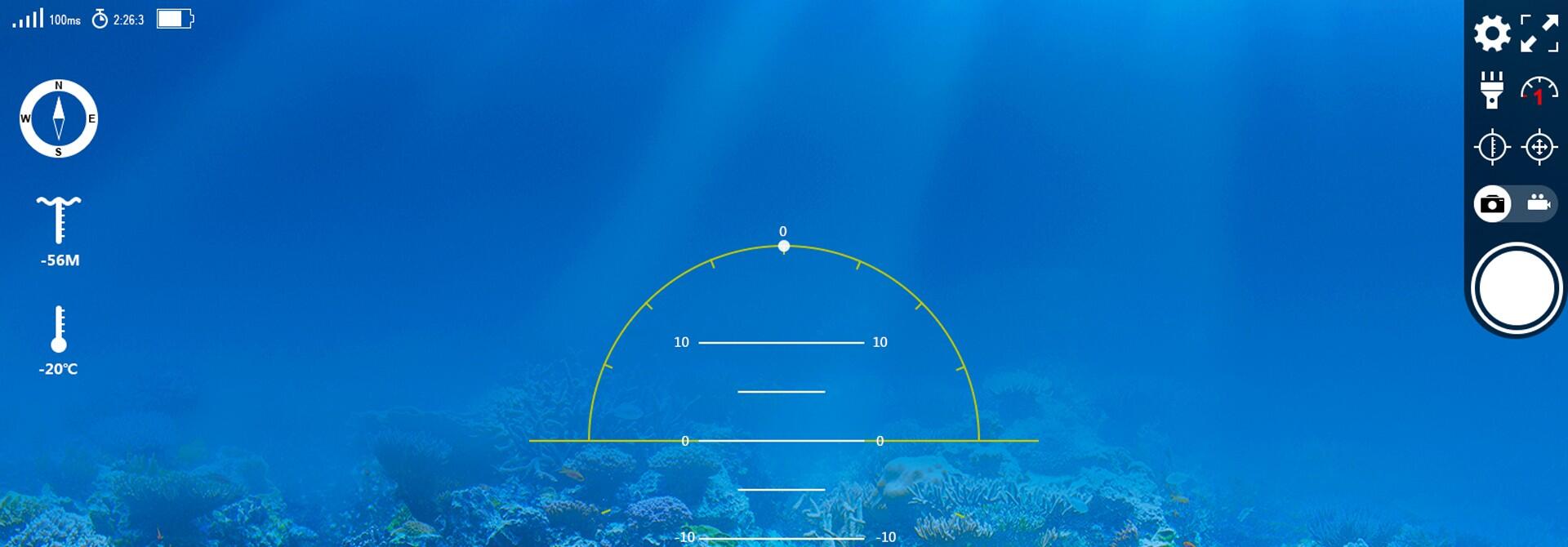 underwater ROV view.jpg