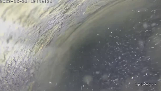 1699329474949 1699329474949